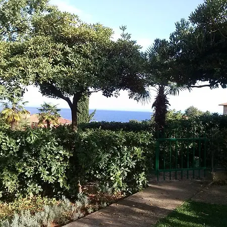 Garden *